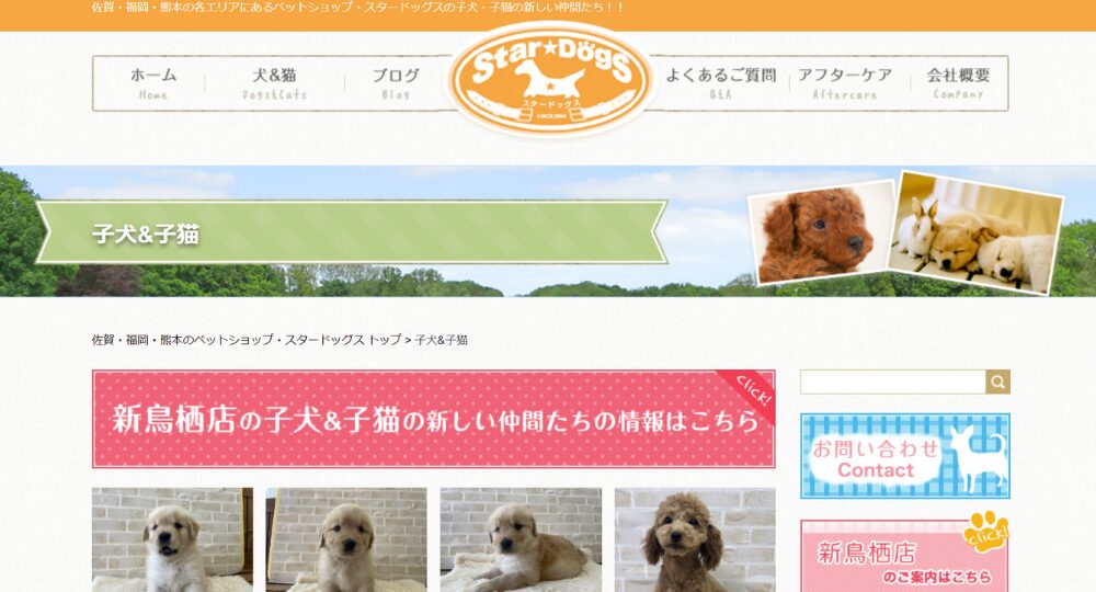 佐賀のベンチャー企業株式会社スタードッグス