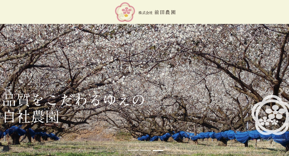 和歌山のベンチャー企業株式会社前田農園